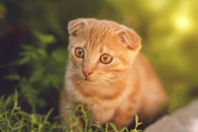 华体会app-闪电战！热火主将轰32分，奥运周期关键焦点战力克吉林